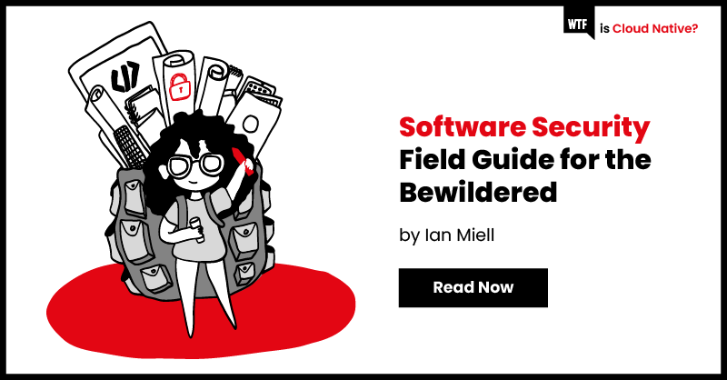 software-security-field-guide-for-the-bewildered